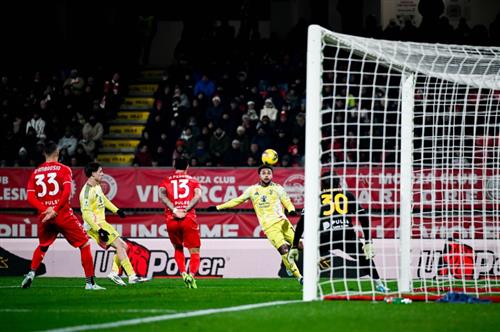 Ultimate Guide to Stoke Betting for Homeowners